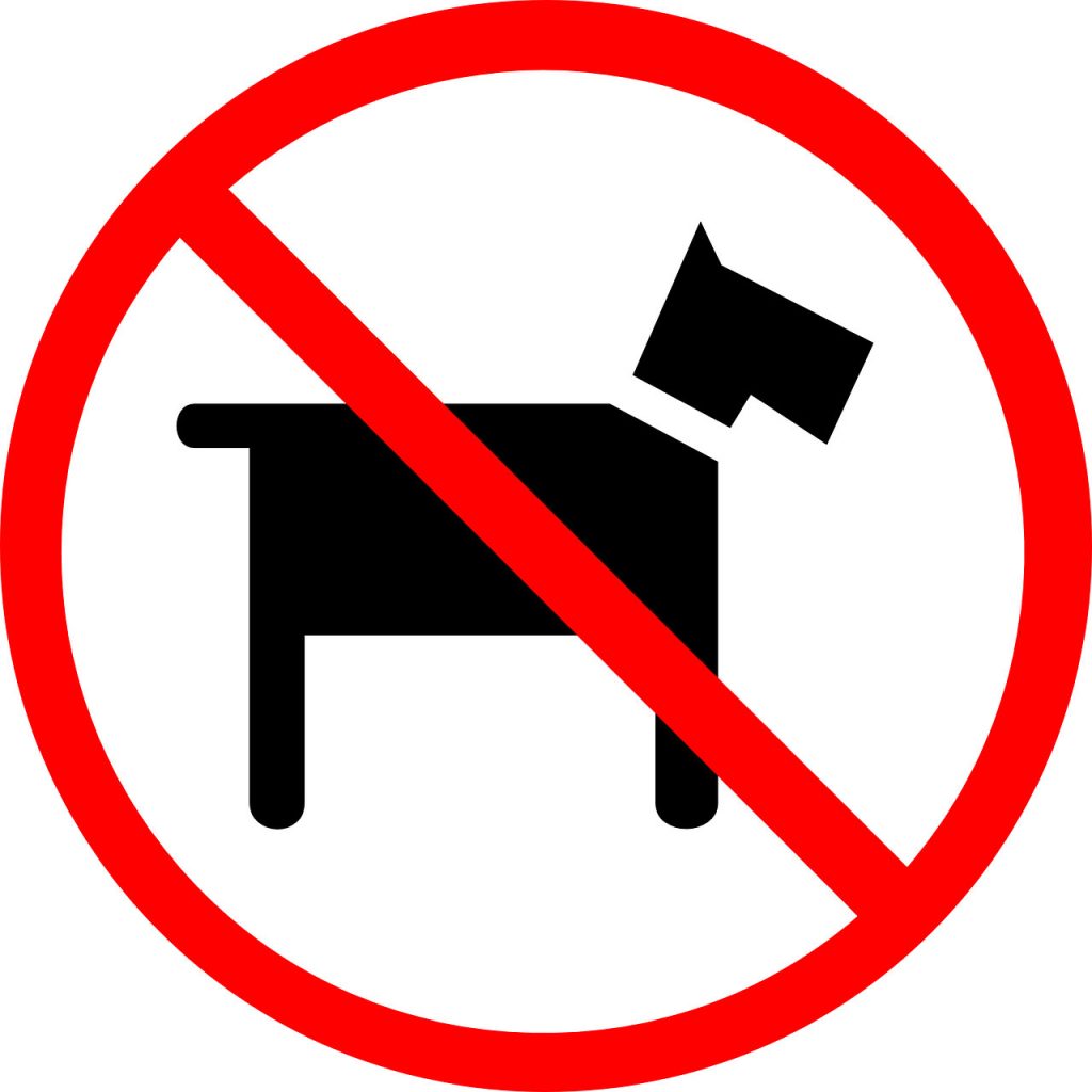 No Dogs Sign